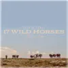 Rich O'Toole - 17 Wild Horses - Single